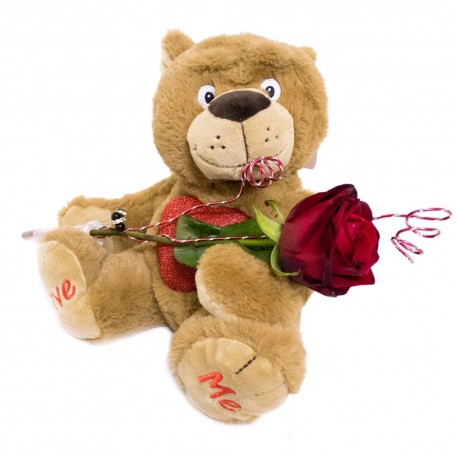 Single Red Rose with teddy