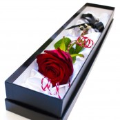 Single red rose in box